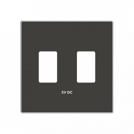Niessen 2CLA858530A1501 Cap USB charger double NS